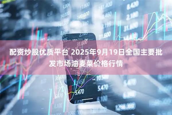 配资炒股优质平台 2025年9月19日全国主要批发市场油麦菜价格行情