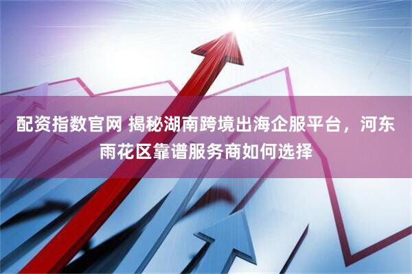 配资指数官网 揭秘湖南跨境出海企服平台，河东雨花区靠谱服务商如何选择
